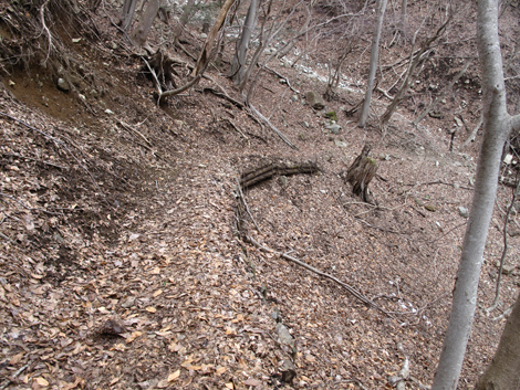 20160218hike (60)